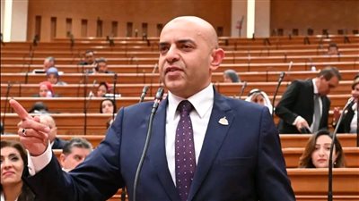 النائب محمد الحداد    